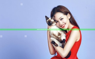 全面战争三国公孙瓒与孙坚怎么破局 公孙瓒与孙坚破局技巧分享
