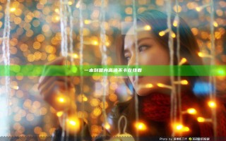 一本到国内高清不卡在线看