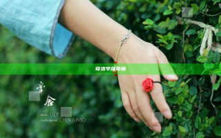 奇洛李维斯回
