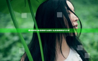 雨中冒险2剑圣解锁方法是什么 剑圣解锁技巧分享