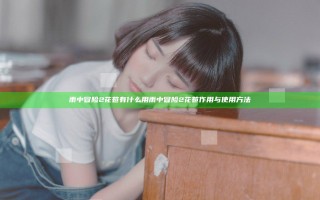 雨中冒险2花苞有什么用 雨中冒险2花苞作用与使用方法