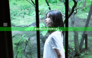 精品无码AV人在线观看尤物