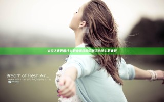 火炬之光无限什么职业适合新手 新手选什么职业好
