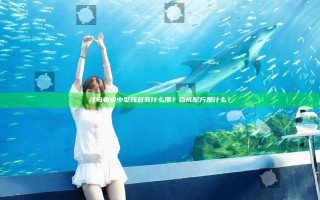 浮岛物语中型钱包有什么用？合成配方是什么？