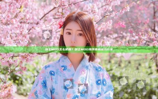 剑士MOD怎么使用？剑士MOD排序使用技巧分享