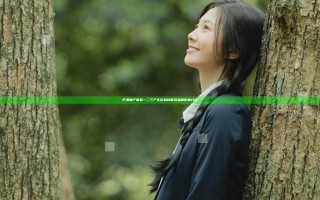 芒果精产国品一二三产区区别详解及品质影响分析