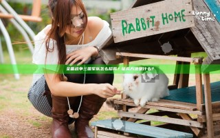 全面战争三国军队怎么招募？征兵方法是什么？