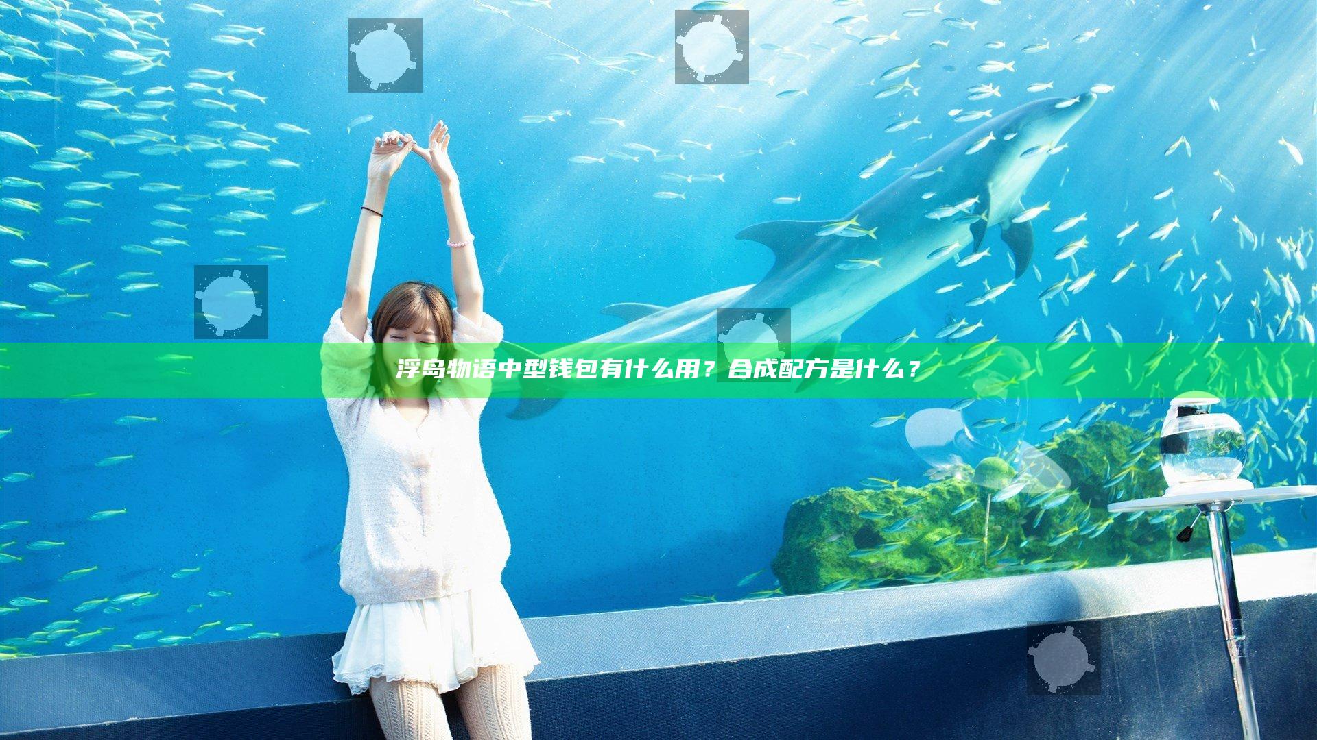 浮岛物语中型钱包有什么用？合成配方是什么？