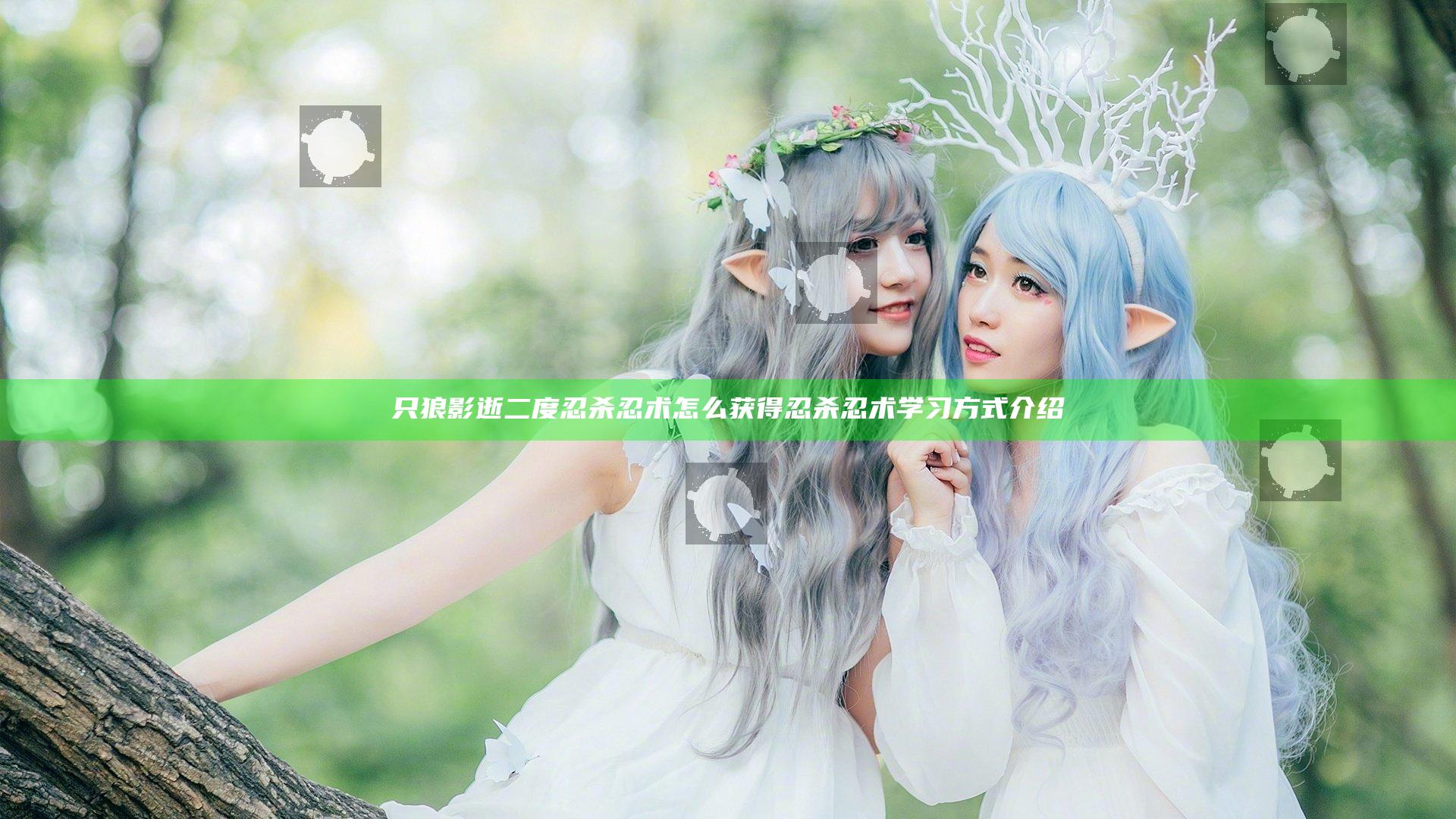 只狼影逝二度忍杀忍术怎么获得 忍杀忍术学习方式介绍