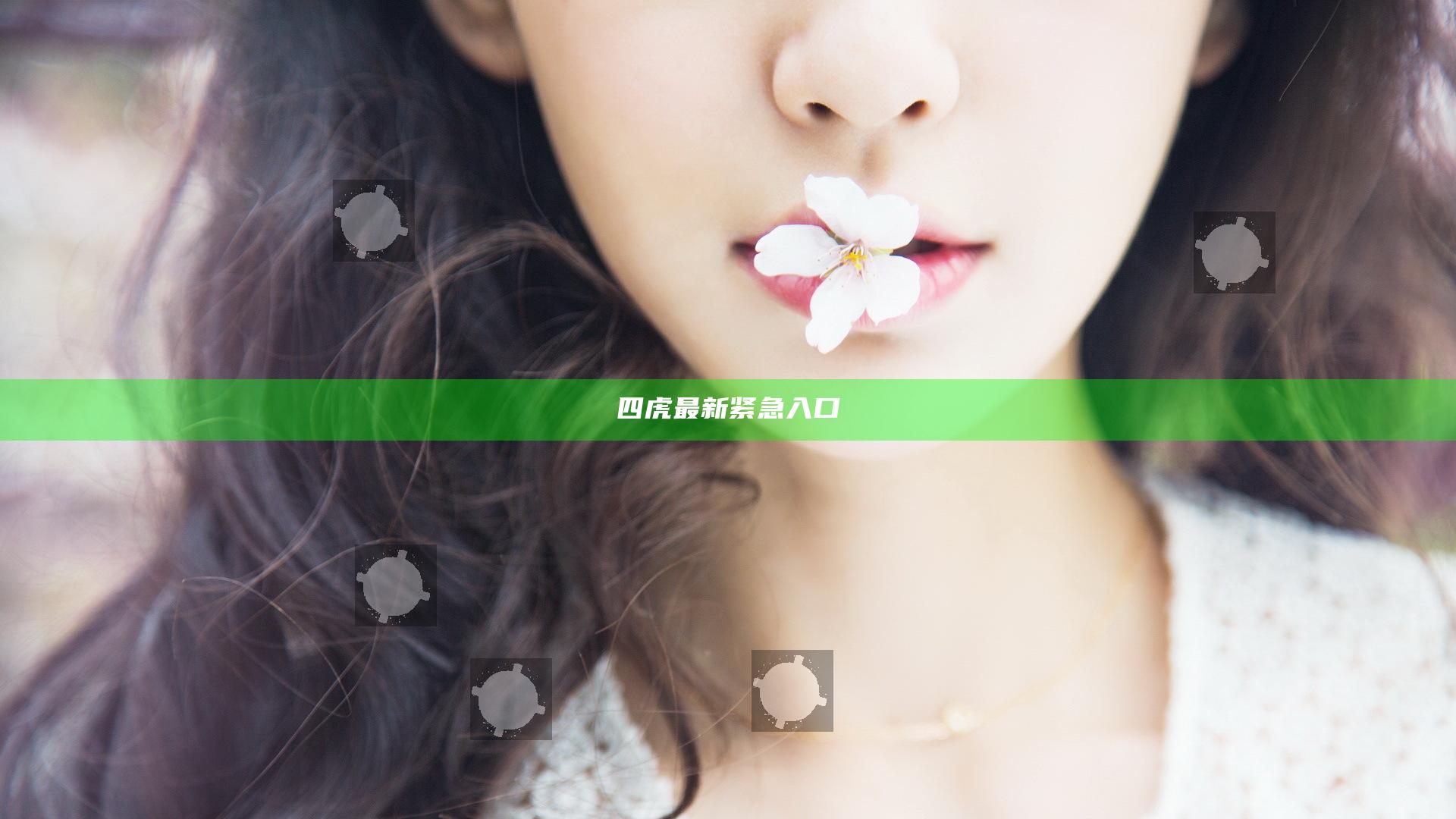 四虎最新紧急入口