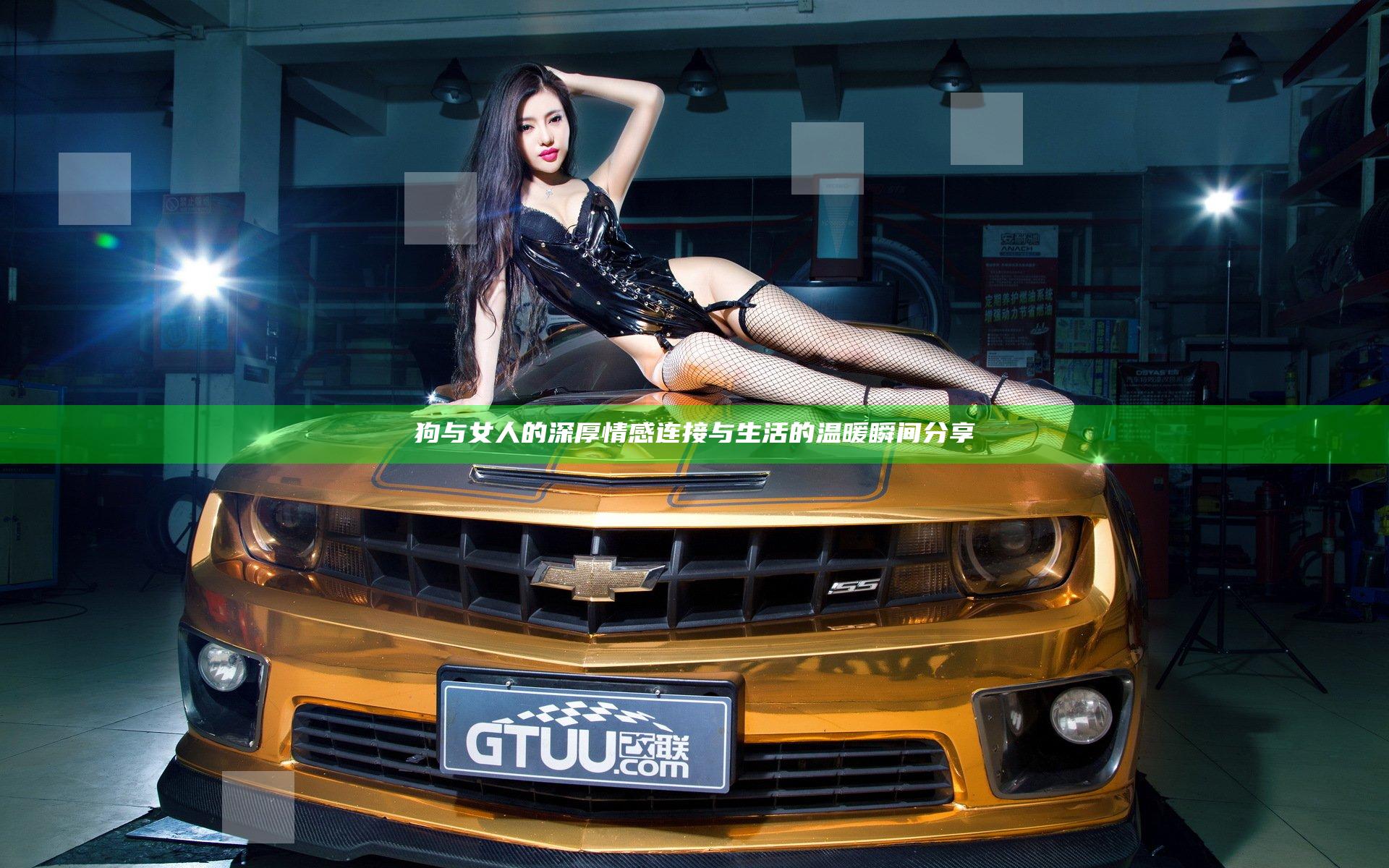狗与女人的深厚情感连接与生活的温暖瞬间分享