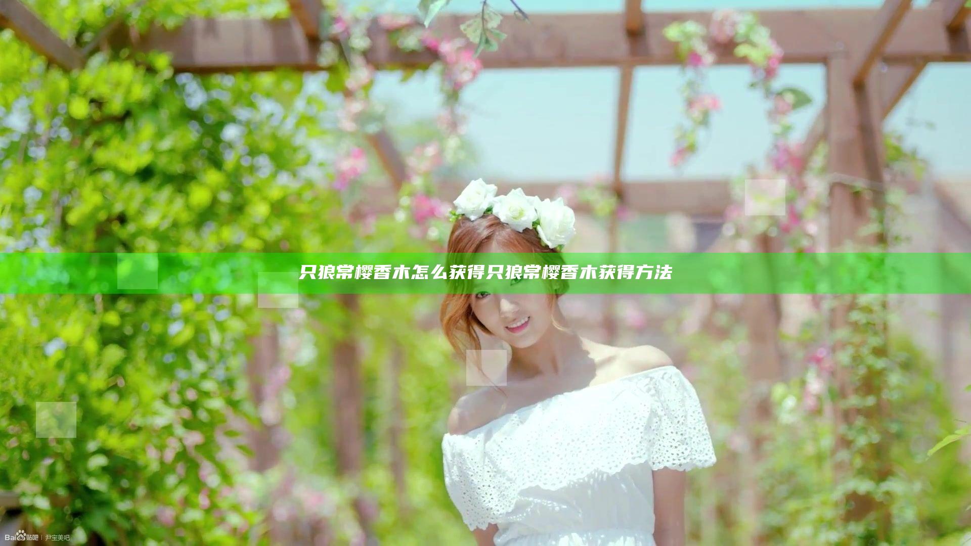 只狼常樱香木怎么获得 只狼常樱香木获得方法